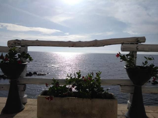 Al Chiaro Di Luna Resort Borgo Pantano Extérieur photo